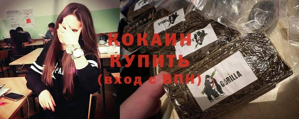 гашик Магас