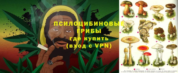 кокс Липки