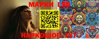 ALPHA PVP Нальчик
