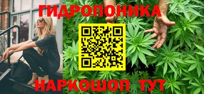 ALPHA PVP Нальчик