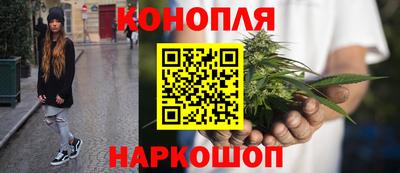 ALPHA PVP Нальчик