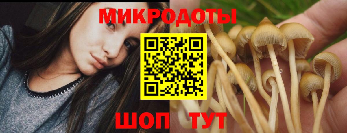 Галлюциногенные грибы Magic Shrooms Фрязино